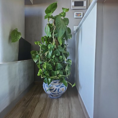 Portavasi decoro '600 blu in ceramica di Caltagirone