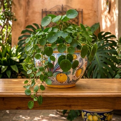 Caspò porta piante decoro dell'800 in ceramica di Caltagirone